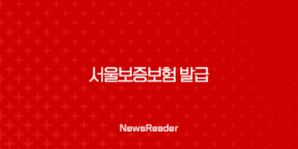 서울보증보험 발급 조건 발급 방법 21