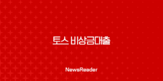 토스 비상금대출 신청 방법 28 토스 비상금대출 신청 방법 27