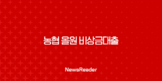 농협 올원 비상금대출 조건 금리 한도 후기 완벽정리 (2025년 최신정보) 39
