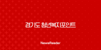 2024년 경기도 청년복지포인트 1차 참여자 모집 총정리 17