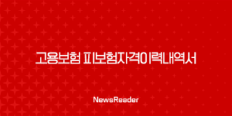 고용보험 피보험자격이력내역서 발급방법 조회 29