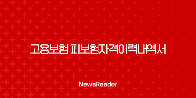 고용보험 피보험자격이력내역서 발급방법 조회 45