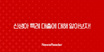 신생아 특례 대출에 대해 알아보자 33