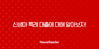 신생아 특례 대출에 대해 알아보자 47