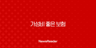 가성비 좋은 보험 현명하게 고르는 법 2025년 완벽 가이드 21