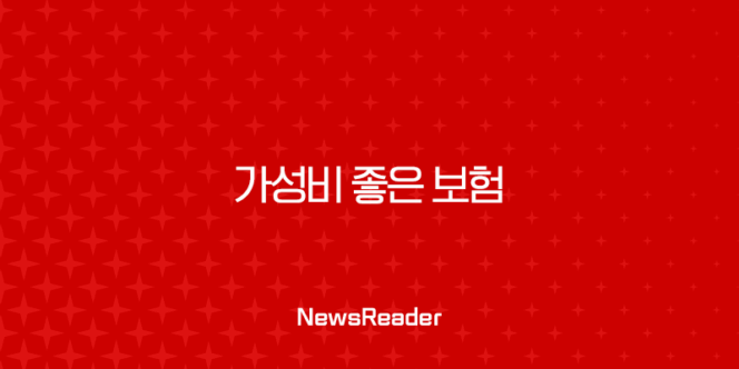 가성비 좋은 보험 현명하게 고르는 법 2025년 완벽 가이드 197