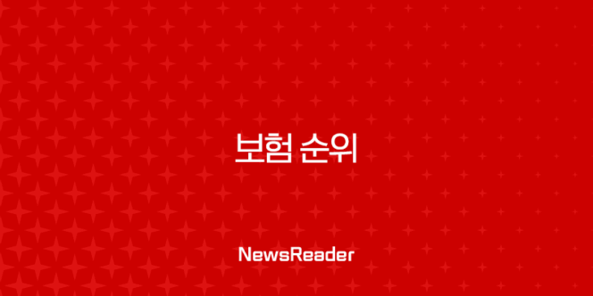 보험 순위 2024년 최신 정보, 좋은 보험사 선택을 위한 완벽 가이드 203