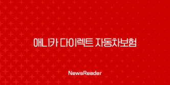 애니카 다이렉트 자동차보험 2025년 가이드 - 핵심 정보와 할인 혜택 총정리 9