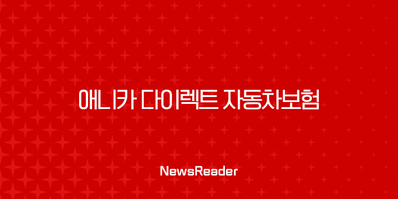 애니카 다이렉트 자동차보험 2025년 가이드 - 핵심 정보와 할인 혜택 총정리 3 애니카 다이렉트 자동차보험 2025년 가이드 - 핵심 정보와 할인 혜택 총정리 2