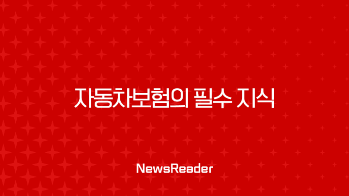 자동차보험의 필수 지식 : 자기차량손해보험과 자기부담금에 대해 알아보기(2024) 27