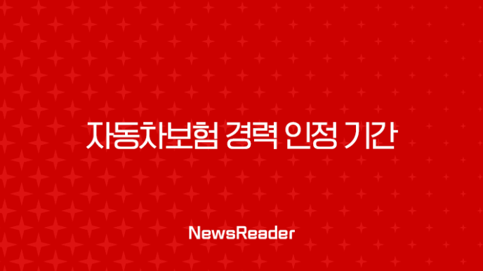 자동차보험 경력 인정 기간에 대한 모든 것(2024) 31