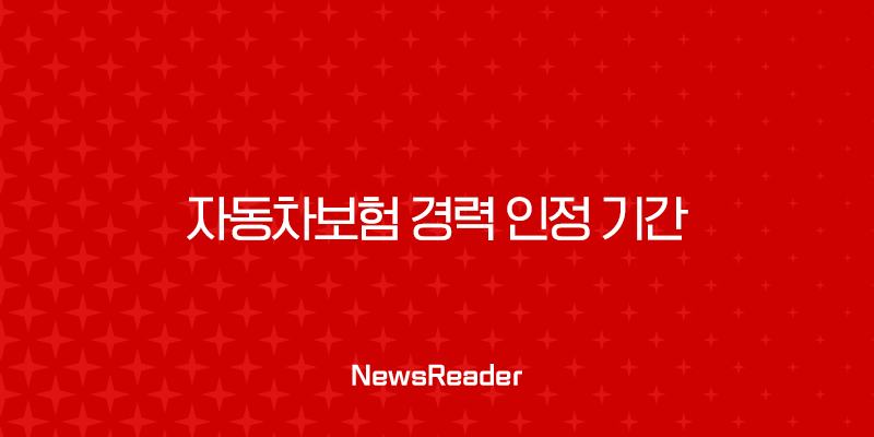 자동차보험 경력 인정 기간에 대한 모든 것(2024) 1