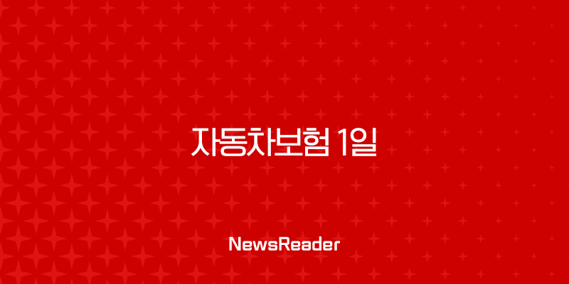 자동차보험 1일 간편하게 내용정리 알아보는 방법 2 자동차보험 1일 간편하게 내용정리 알아보는 방법 1