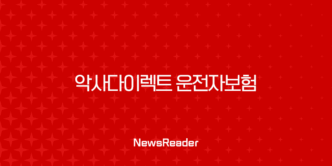 악사다이렉트 운전자보험 보장 내용 183