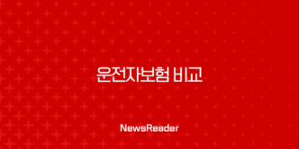 현명한 운전자를 위한 운전자보험 비교, 필수 보장 항목부터 가성비까지 꼼꼼하게 따져보기 43