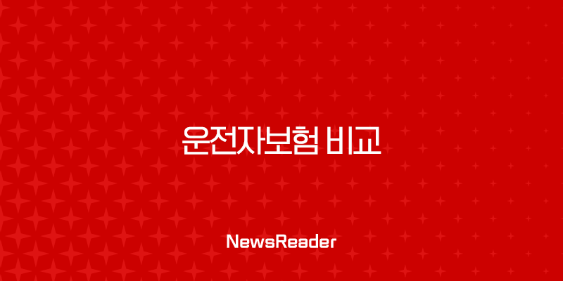 현명한 운전자를 위한 운전자보험 비교, 필수 보장 항목부터 가성비까지 꼼꼼하게 따져보기 2 현명한 운전자를 위한 운전자보험 비교, 필수 보장 항목부터 가성비까지 꼼꼼하게 따져보기 1