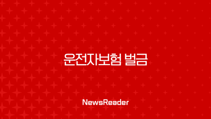 운전자보험 벌금 완벽정리 이것만 알면 걱정 끝 11