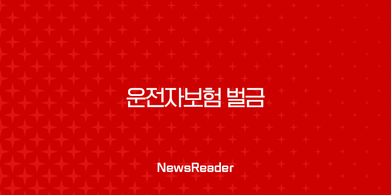 운전자보험 벌금 완벽정리 이것만 알면 걱정 끝 2 운전자보험 벌금 완벽정리 이것만 알면 걱정 끝 1