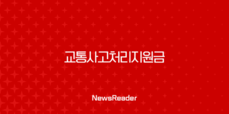 교통사고처리지원금 운전자보험의 절대적 존재 이유 27