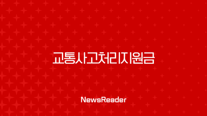 교통사고처리지원금 운전자보험의 절대적 존재 이유 15