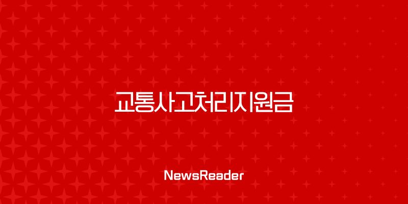 교통사고처리지원금 운전자보험의 절대적 존재 이유 2 교통사고처리지원금 운전자보험의 절대적 존재 이유 1