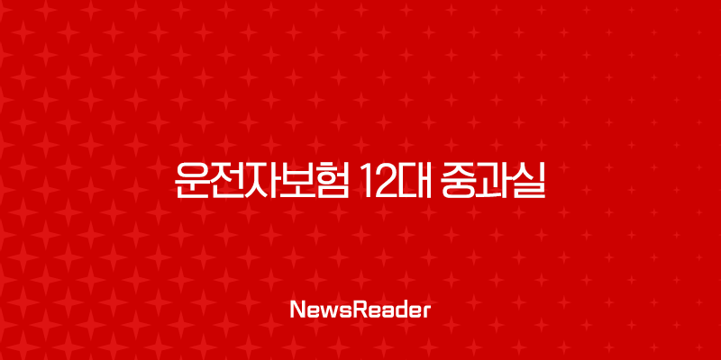 운전자보험 12대 중과실 보장 내용 완벽하게 알아보기 2 운전자보험 12대 중과실 보장 내용 완벽하게 알아보기 1
