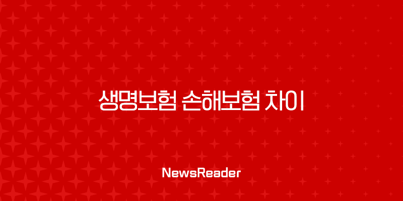 생명보험 손해보험 차이 완벽정복 : 핵심 포인트 10가지로 정리해드릴게요! 1