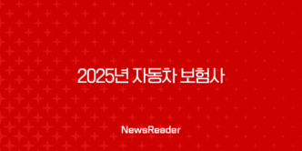 2025년 자동차 보험사 완벽 비교 - 나에게 맞는 보험 찾기 1