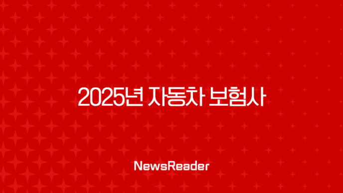 2025년 자동차 보험사 완벽 비교 - 나에게 맞는 보험 찾기 3