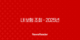 내 보험 조회 - 2025년, 내 보험 똑똑하게 확인하고 관리하는 방법 29