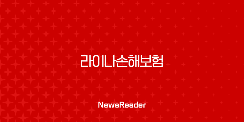 2025년 라이나손해보험 완전 정복 🎉: 알아야 할 모든 것! 2