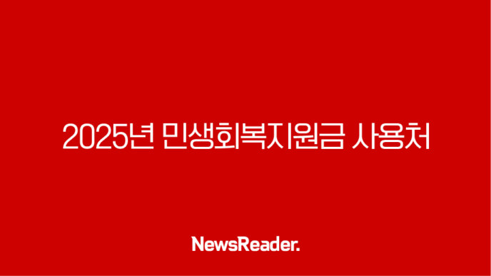 2025년 민생회복지원금 사용처 완벽정리 (다이소, 스타벅스, 병원, 주유소) 11