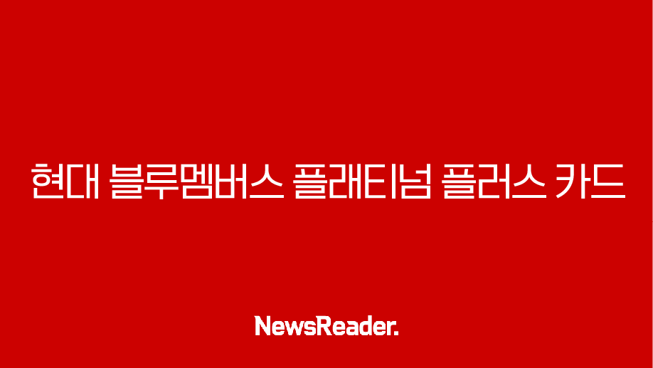현대 블루멤버스 플래티넘 플러스 카드 실사용 후기 월 50만원 혜택 완벽 분석 17