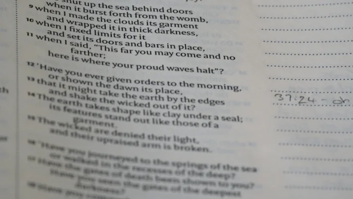 상속세 면제한도 활용해 세금 없이 자산 물려받는 절세 팁 (2026년) 31