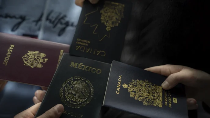 보험계약대출 금리 비교하고 당일 승인받은 후기 (2026년) 31