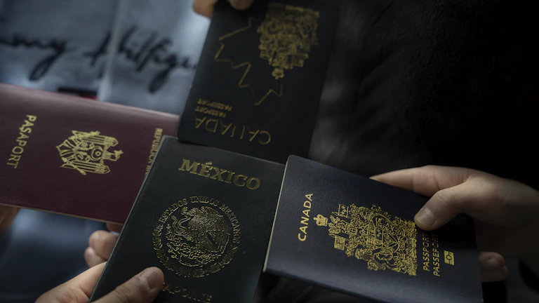 보험 계약 서류와 계산기