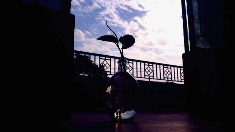 돈나무가 자라는 화분에 동전들이 쌓여있는 모습