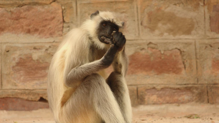 솔드아웃 판매 정산, 크림 수수료 혜택 완벽 비교 분석으로 현명한 리셀러 되기 2 스마트폰으로 거래 내역을 확인하는 사람
