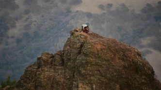 금양 몽골 리튬 광산 이슈, 공시 불성실 법인 지정 리스크 심층 분석 및 투자 전략 11