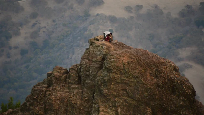 금양 몽골 리튬 광산 이슈, 공시 불성실 법인 지정 리스크 심층 분석 및 투자 전략 3