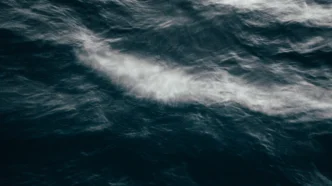 한화오션, 흑자 전환 시기, 한화 그룹 시너지로 완성되는 조선업의 새로운 미래 전략 총정리 7