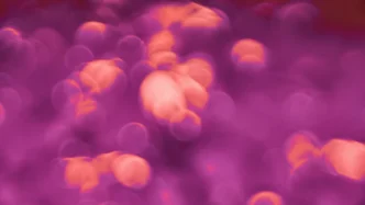 HLB 리보세라닙 FDA 승인 재도전 간암 1차 치료제 시장성 분석 5