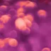 HLB 리보세라닙 FDA 승인 재도전 간암 1차 치료제 시장성 분석 123