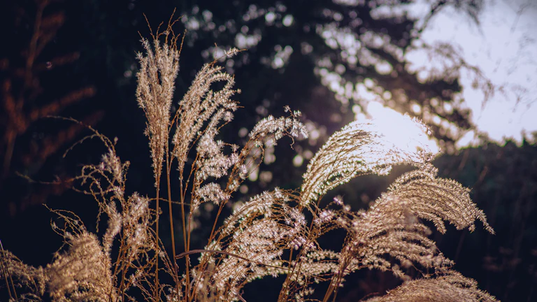 청년도약계좌 3년 유지 후 환승론 갈아타기 목돈 마련 최단 루트 57