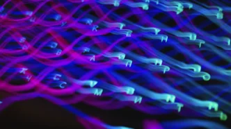 아이온큐(IonQ) 양자컴퓨터 기술력 분석, 흑자 전환 예상 시점과 리스크 완벽 해부 15