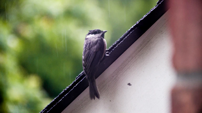 소상공인 정책자금 대환대출 조건 승인 사례 분석 (2026년) 29