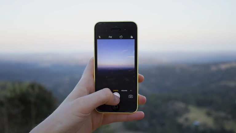 스마트폰에 표시된 일일 수익 그래프