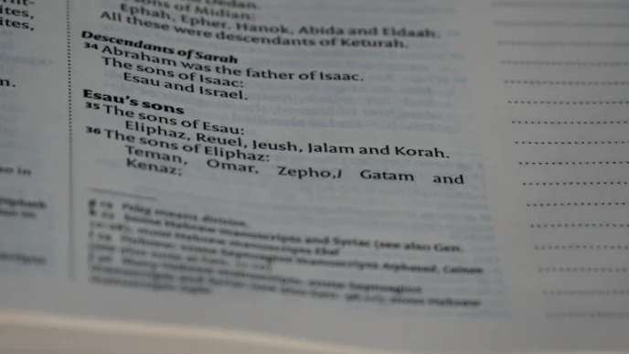 상속세 세무조사 대상 선정 및 대응 전략 3