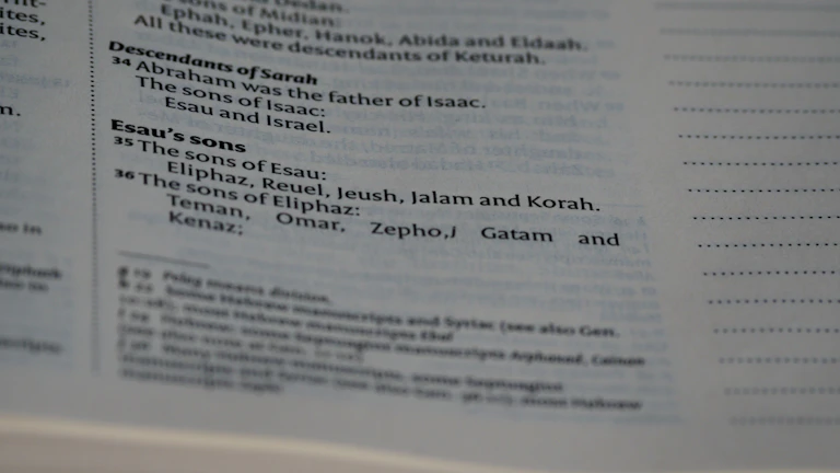 상속세 세무조사 대상 선정 및 대응 전략 33