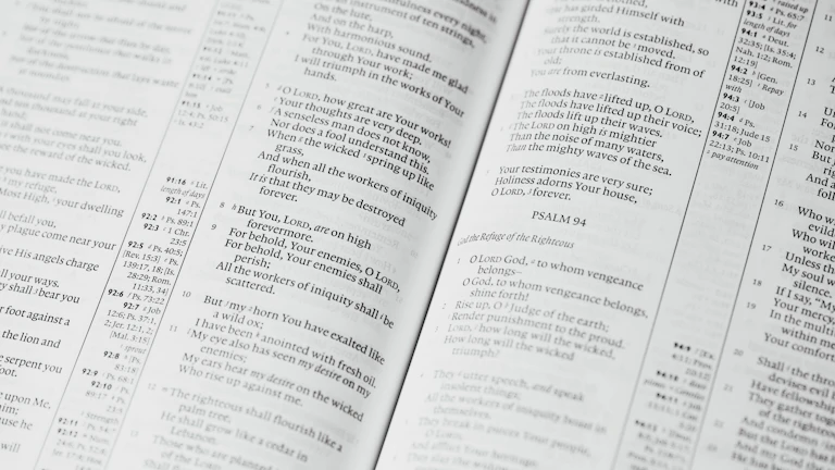 세금 서류를 분석하는 전문가